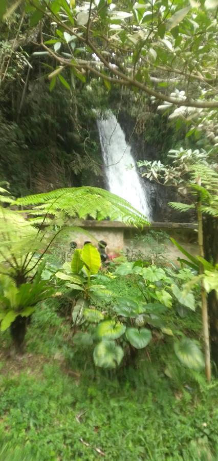 Hidayah Homestay Kelimutu Kültér fotó