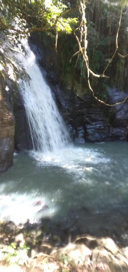 Hidayah Homestay Kelimutu Kültér fotó
