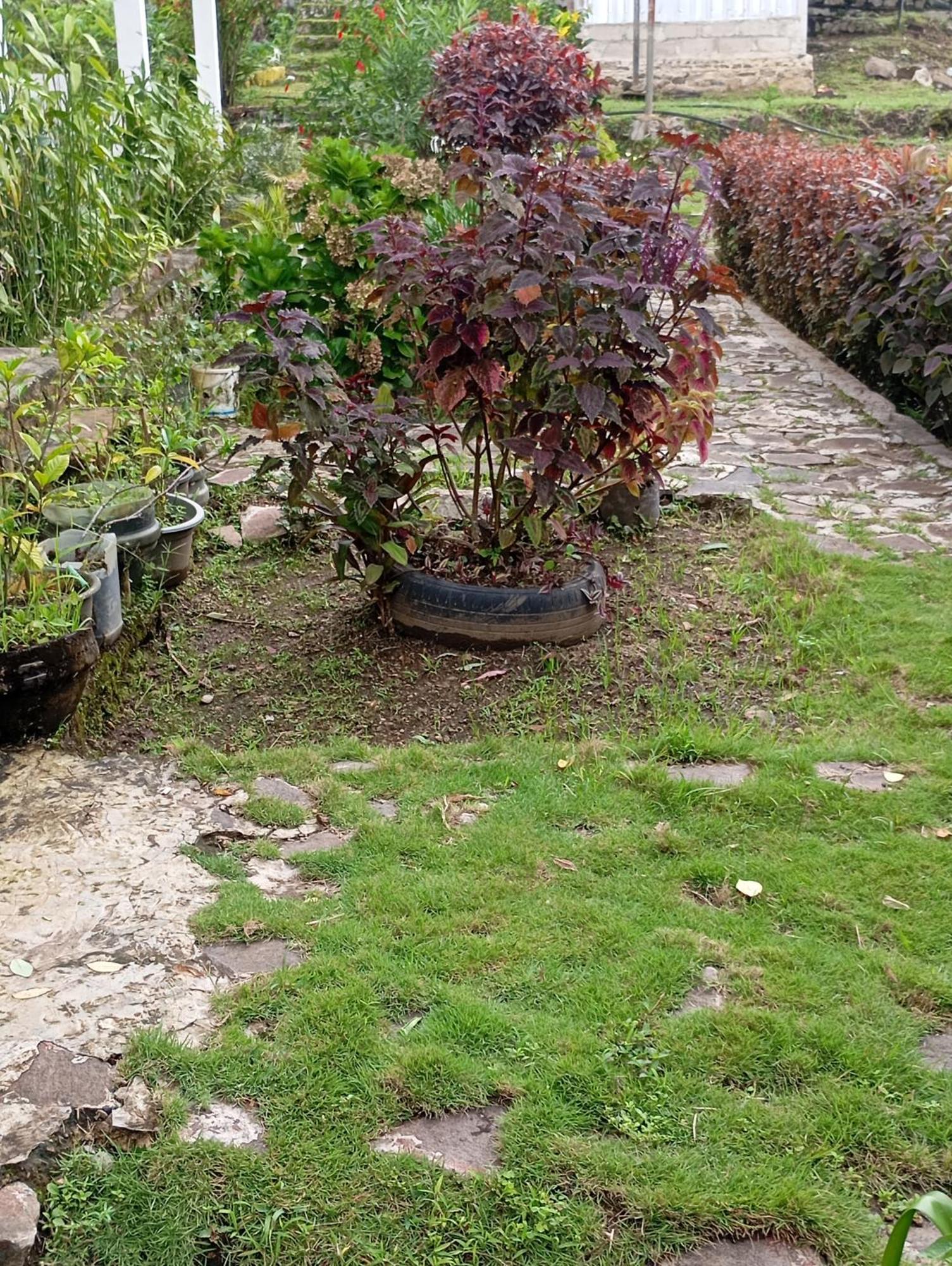 Hidayah Homestay Kelimutu Kültér fotó