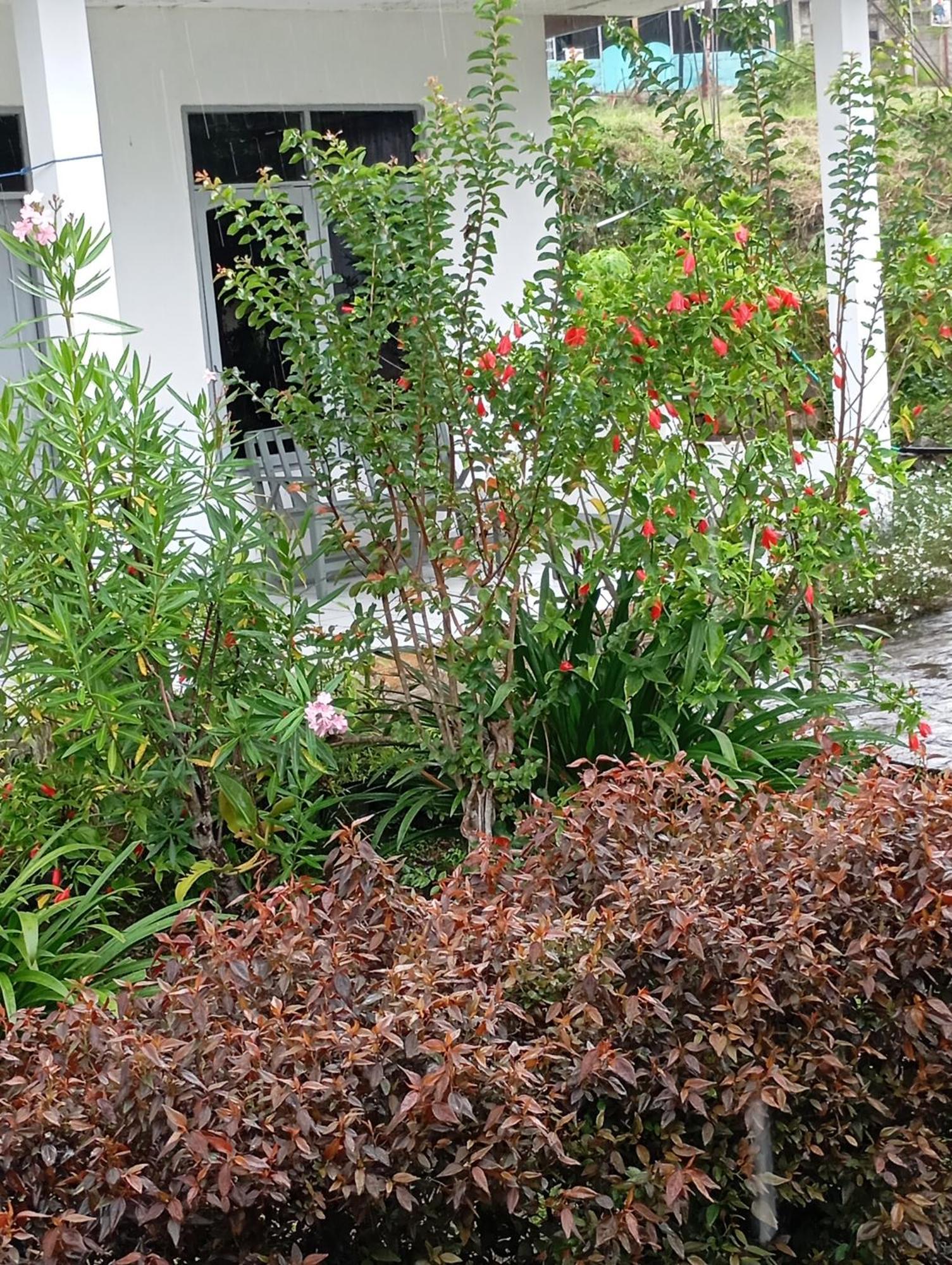 Hidayah Homestay Kelimutu Kültér fotó